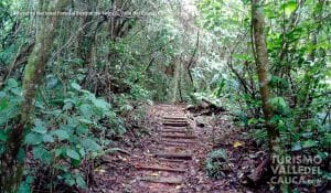 La Reserva Nacional Forestal Bosque de Yotoco - Foto 15