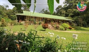 La Reserva Nacional Forestal Bosque de Yotoco - Foto 16