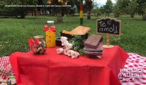 Alojamiento Rural Los Cerezos - Foto 14
