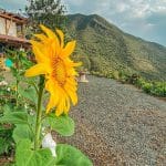 Ruhe glamping vijes turismo valle del cauca colombia (6)