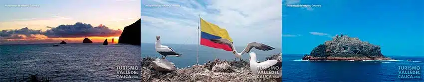 Foto general archipiélago de malpelo turismo valle del cauca colombia