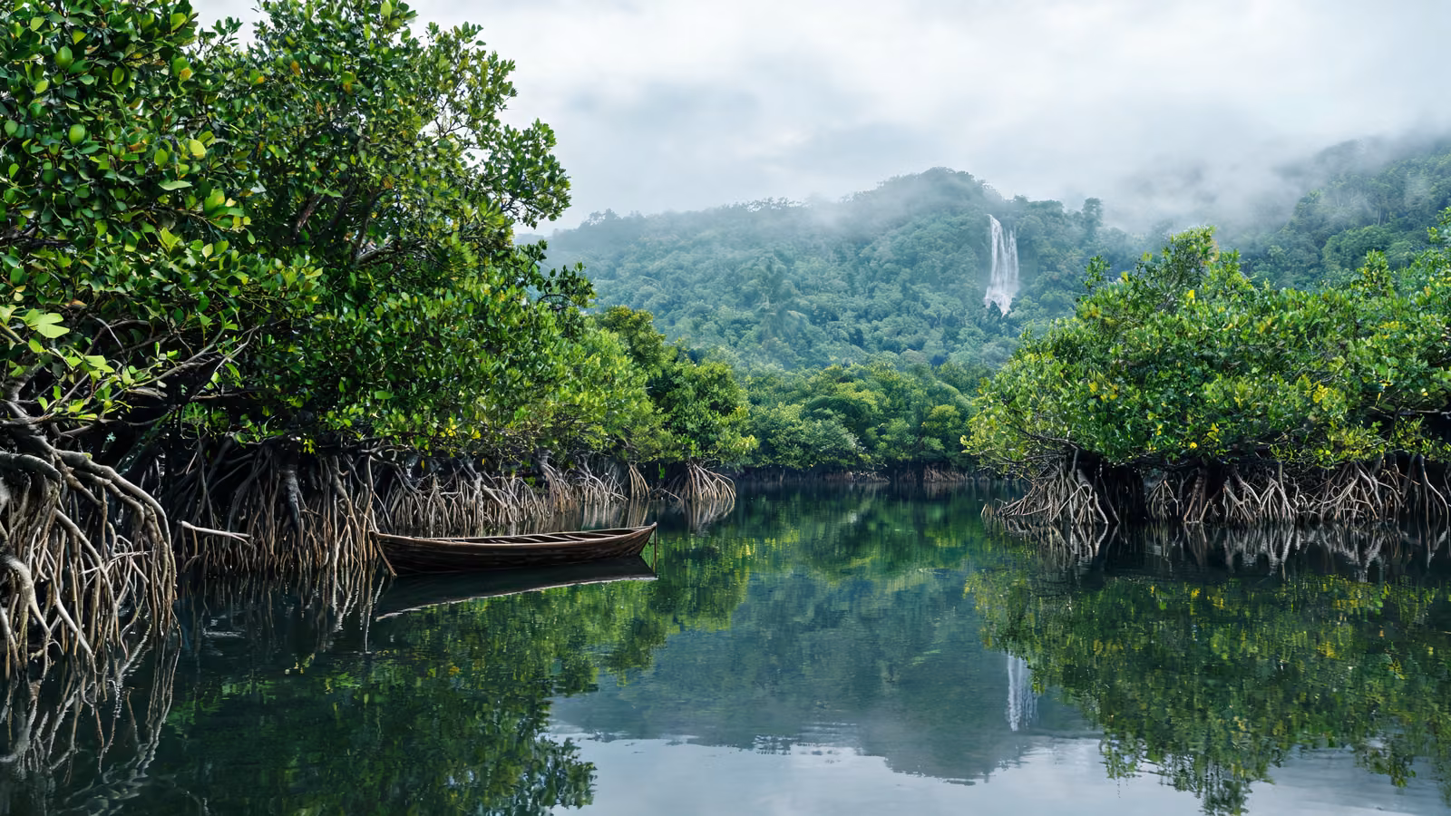 Bahía Málaga: turismo comunitario, manglares y cascadas 1 Esteros de manglar en Bahía Málaga con lancha pequeña y selva húmeda del Pacífico colombiano